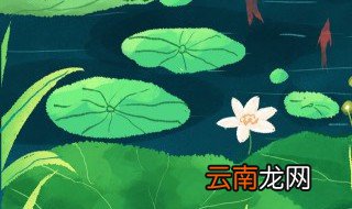 三伏天一共多少天 三伏天共多少天