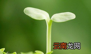 如何退出热点资讯 快速退出热点资讯的方法
