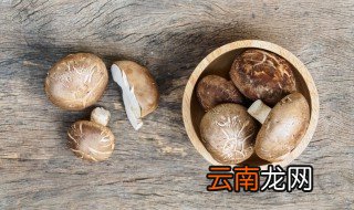 香菇鸡做法 香菇鸡的烹饪方法