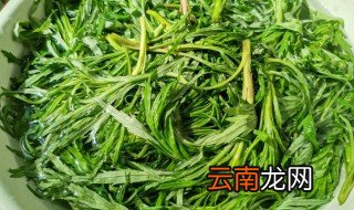 柳蒿芽的做法大全 柳蒿芽的做法有哪些