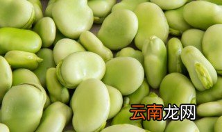 青蚕豆的做法大全 青蚕豆的做法有哪些