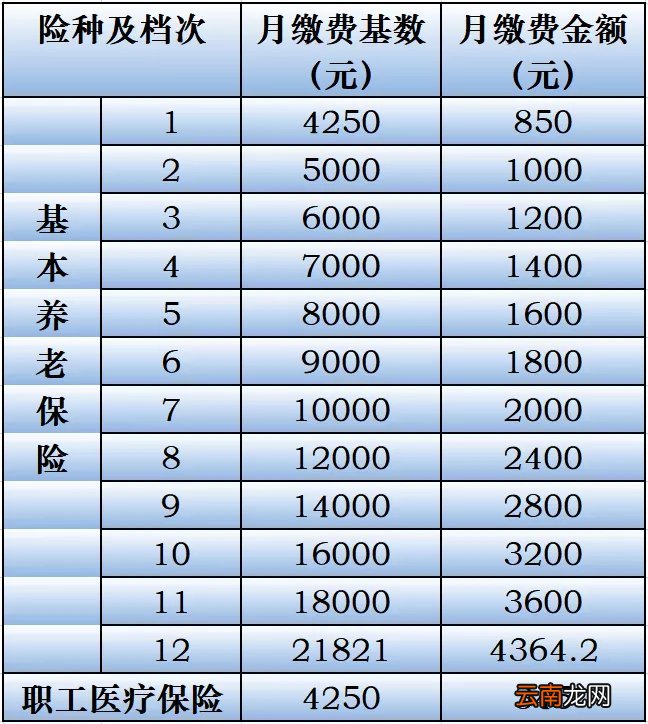 2022苏州市区社会保险缴费标准