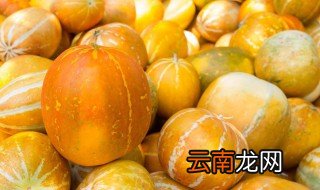 香瓜的种植方法 种香瓜的方法步骤分享
