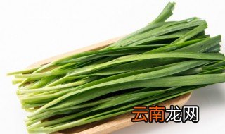 韭菜根怎么种植方法 韭菜根种植方法是什么