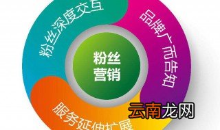 网络营销的主要方式 网络营销怎么进行？