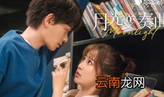 月光变奏曲有哪些演员 月光变奏曲演员有哪些
