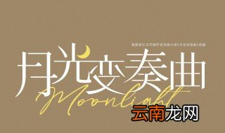 月光变奏曲原著 月光变奏曲原著介绍