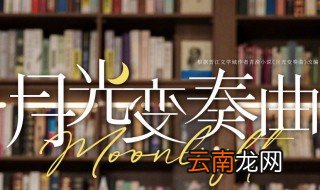 月光变奏曲配音演员表 月光变奏曲简介