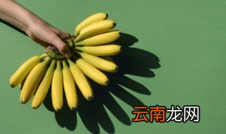 野香蕉扦插种植方法 野香蕉怎么扦插