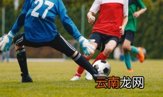 足球资料 足球的简介