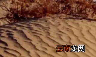 防治荒漠化的有效措施 防治荒漠化的有效措施有哪些