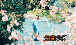 现代情诗短句 现代情诗短句有哪些