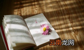 关于王维的资料 关于王维的简介