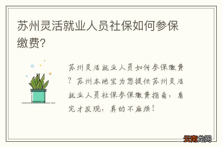 苏州灵活就业人员社保如何参保缴费？