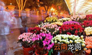 父亲节送什么花给爸爸好 父亲节送什么花给爸爸