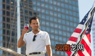 华尔街之狼简介 华尔街之狼电影的简介