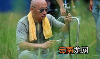 周敏个人资料 周敏人物简介