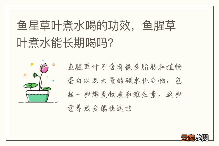 鱼星草叶煮水喝的功效，鱼腥草叶煮水能长期喝吗？