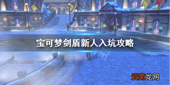 宝可梦剑盾新人入坑怎么玩 宝可梦剑盾新人入坑攻略