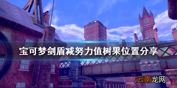 宝可梦剑盾洗努力值树果怎么得 宝可梦剑盾减努力值树果位置