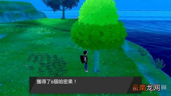 宝可梦剑盾洗努力值树果怎么得 宝可梦剑盾减努力值树果位置