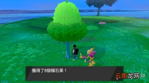 宝可梦剑盾洗努力值树果怎么得 宝可梦剑盾减努力值树果位置
