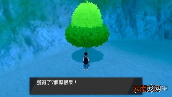 宝可梦剑盾洗努力值树果怎么得 宝可梦剑盾减努力值树果位置