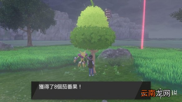 宝可梦剑盾洗努力值树果怎么得 宝可梦剑盾减努力值树果位置
