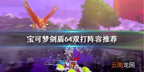 宝可梦剑盾64双打怎么玩 宝可梦剑盾64双打阵容推荐