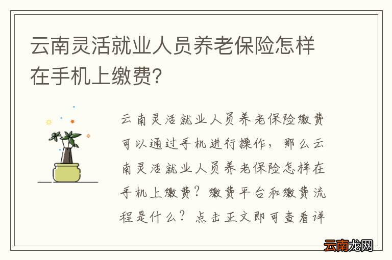 云南灵活就业人员养老保险怎样在手机上缴费？