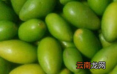 青橄榄怎么吃 青橄榄的食用方法