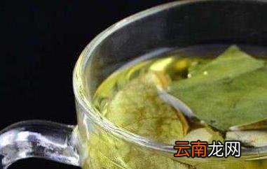 冬瓜荷叶茶的功效与作用及冲泡方法
