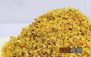 新鲜桂花怎么处理 新鲜桂花怎么保存
