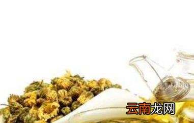 野菊花茶的功效与作用 野菊花茶的冲泡方法