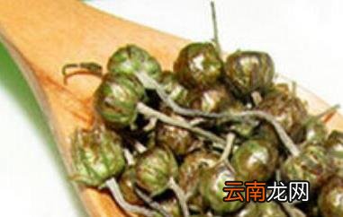 玲珑怀菊的功效与作用