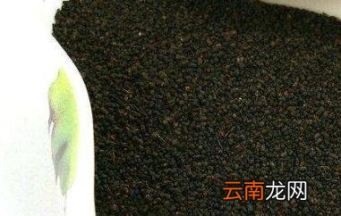 普洱虫屎茶的作用与功效