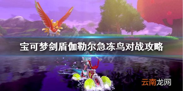 宝可梦剑盾急冻鸟伽勒尔对战怎么样 伽勒尔急冻鸟对战攻略