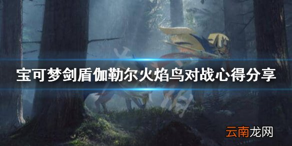 宝可梦剑盾火焰鸟伽勒尔怎么样 剑盾伽勒尔火焰鸟对战心得