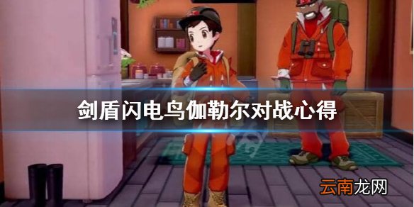 宝可梦剑盾伽勒尔闪电鸟对战好用吗 剑盾闪电鸟伽勒尔对战
