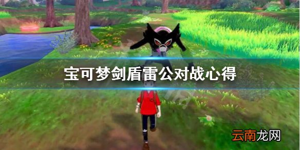 宝可梦剑盾雷公对战中怎么样 宝可梦剑盾雷公对战心得