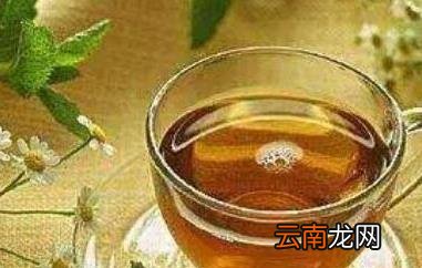 胃松茶的功效与作用