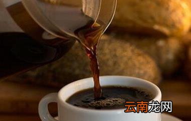 胃松茶的功效与作用