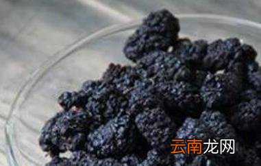 中药桑椹干的功效与作用