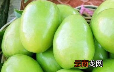 台湾冬枣的营养功效与作用