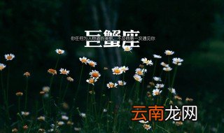 感情中比较笨的星座 星座达人告诉你