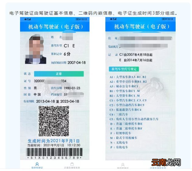 申领条件+入口+流程 9月1日起重庆申领电子驾驶证