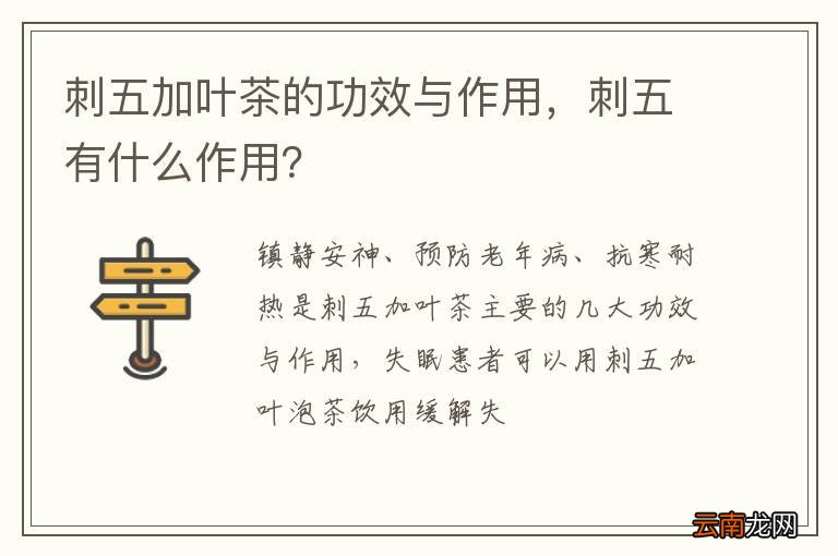 刺五加叶茶的功效与作用，刺五有什么作用？