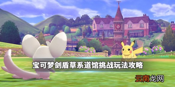 宝可梦剑盾草系道馆在哪里 宝可梦草系道馆挑战玩法攻略_网