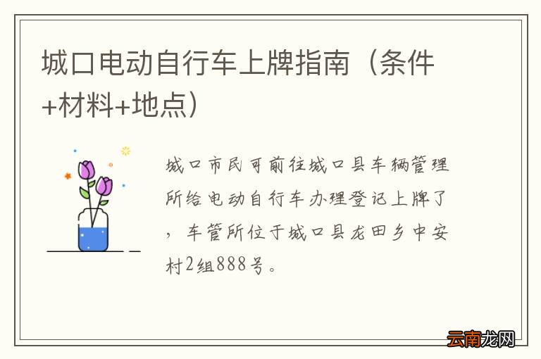 条件+材料+地点 城口电动自行车上牌指南