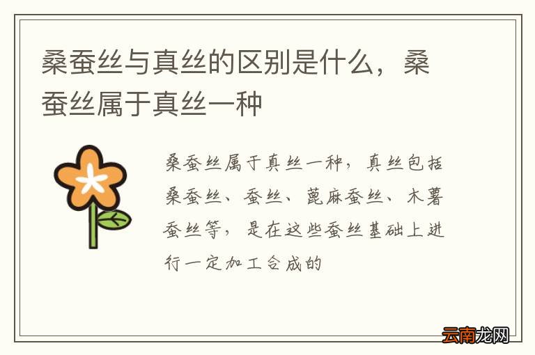 桑蚕丝与真丝的区别是什么，桑蚕丝属于真丝一种